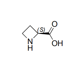 S Azetidinecarboxylic Acid