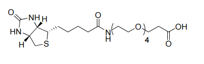 4,7,10,13-Tetraoxa-16-azaheneicosanoic acid, 21-(hexahydro-2-oxo-1H-thieno[3,4-d]imidazol-4-yl)-17-oxo-