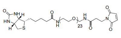 Biotin-PEG23-Mal