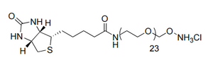 Biotin-dPEG-oxyamine. HCl
